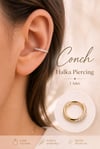Zirkon Taşlı İnce Halka Conch Piercing – Gold & Gümüş | Rodyum Kaplama | Tekli