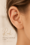 Zirkon Taşlı Kalp Rook Piercing