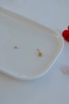 Zirkon Taşlı Kuzey Yıldızı Rook Piercing Çelik Bar 1 mm