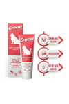 Anti Hairball Kedi Malt Macunu 100 gr.