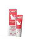 Anti Hairball Kedi Malt Macunu 100 gr.