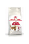 Fhn Fit 32 Yetişkin Kedi Maması 400 Gr