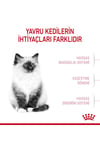 Kitten Yavru Kediler için Kuru Kedi Maması 4kg
