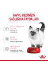 Kitten Yavru Kediler için Kuru Kedi Maması 4kg