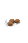 Sterilised37 Kısırlaştırılmış Kediler Için Kuru Kedi Maması 400g