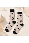 corap-12li-toptan-paket-d-4367.jpg