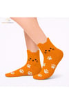 kulakli-turuncu-kedi-corap-12li-toptan-bd-3c1.jpg