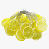 2m 10 Led Pilli Limon Işık