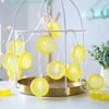 2m 10 Led Pilli Limon Işık