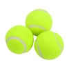 3'lü Köpek Oyun Tenis Topu