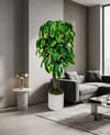 Dekoratif Yapay Ceviz Ağacı 1.70 cm (Metal Saksılı ve Beyaz Taşlı)
