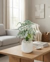 Dekoratif Yapay Kaladyum Çiçeği 80 cm (Plastik Atlas Saksılı ve Beyaz Taşlı)