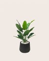 Dekoratif Yapay Strelitzia Cennet Kuşu Çiçeği 80 cm (Siyah Atlas Saksılı ve Beyaz Taşlı)