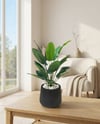 Dekoratif Yapay Strelitzia Cennet Kuşu Çiçeği 80 cm (Siyah Atlas Saksılı ve Beyaz Taşlı)