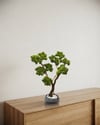 Dekoratif Yapay Yosunlu Bonsai Ağacı (Antrasit Küre Saksılı ve Beyaz Taşlı)