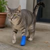 Kedi ve Köpek Pati Bandajı - Su Geçirmez - Kendinden Yapışkanlı - 6 Renk