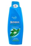 Blendax Isırgan Özlü 500 ml Şampuan