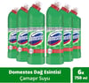 Domestos 6x750 ml Dağ Esintisi Çamaşır Suyu