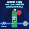 Domestos 750 ml Dağ Esintisi Çamaşır Suyu