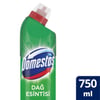 Domestos 750 ml Dağ Esintisi Çamaşır Suyu