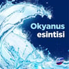 Domestos Wc Blok 5'li Güç Tuvalet Bloğu Okyanus Esintisi 100 GR (2x50 GR)