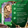 Koleston Naturals 8-1 Açık Küllü Kumral
