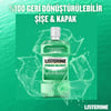 Listerine 250 ml Fresh Burst Fresh Nane Gargara