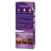 Palette Göz Alıcı Renkler 6-88 Yoğun Kızıl