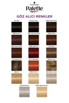 Palette Göz Alıcı Renkler 6-88 Yoğun Kızıl