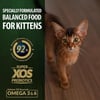 Reflex Plus Kitten Tavuklu Yavru Özel 15 kg Kedi Maması