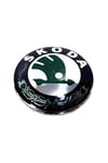 skoda-super-b-amblem-onarka-3t0853621a-1cf959.jpg