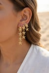 3 Lü Set Gold Renk Deniz Yıldızı Model Küpe Diğer