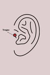316l Çelik Gold Renk Zirkon Taşlı Çiçek Model Tragus Piercing Gümüş