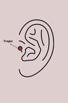 316l Çelik Gümüş Renk Pembe Mineli Kalp Zirkon Taş Detay Tragus Piercing