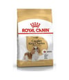 Cavalier King Charles Adult Yetişkin Köpek Maması 3 Kg