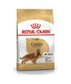 Cocker Spaniel Adult Yetişkin Köpek Maması 3 Kg
