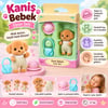 Families Kaniş Bebek +3 Yaş 10pcs Mixed
