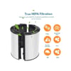 Hepa Filtre + Karbon Filtre Dyson İle Uyumlu Hp04 Tp04 Dp04 Ph04 Hp09 Tp09 Hp07 Altın - Çok Renkli