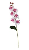 Ogc-0018 62 Cm 1 Adet Şeffaf
