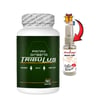 Panax 1 Kutu Panax Ginseng Tribuluslu Fenugreekli Shilajitli Hornygoatlı 90 Lı Caps + Afrodizayn Yağ