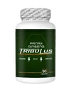 Panax 1 Kutu Panax Ginseng Tribuluslu Fenugreekli Shilajitli Hornygoatlı 90 Lı Erkeklere Özel Caps
