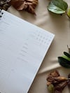 Tarihsiz 6 Aylık Günlük Planlayıcı Spiralli Sert Kapaklı Organizer Not Defteri 204 Sayfa 22 X 28,5 Cm Çok Renkli