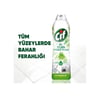 Tüm Yüzeyler 750 Ml Jel Bahar Ferahlığı 1 Adet Tekli