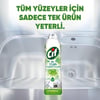 Tüm Yüzeyler 750 Ml Jel Bahar Ferahlığı 1 Adet Tekli