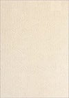 Youdayhomecollection Moda Model Oturma Odası Halısı 11 200 x 250