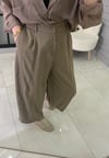 Shine Taşlı Pantolon | Vizon