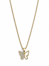 Papillon