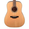 Takamine GD20-NS Akustik Gitar