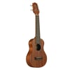 TAKAMINE GU-S1 Soprano Ukulele