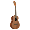 TAKAMINE GU-T1 Tenor Ukulele